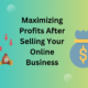 Maximizing Profits After Selling Your Online Business